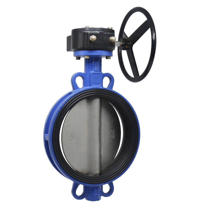 Butterfly Valve Dn200 8inch Pn10 Pn16 Cast Iron Wafer Worm Gear ...