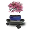 /product-detail/plant-caddy-with-wheels-plant-coasters-on-wheels-plant-dolly-60814690819.html