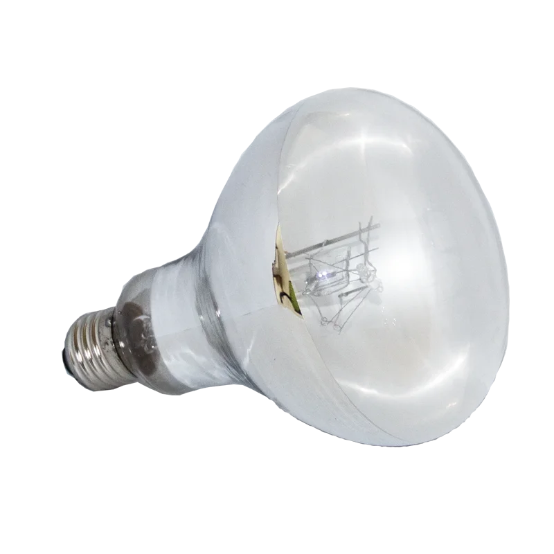 bearded dragon wattage bulb