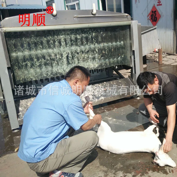 Sheep Depilation Machine / Sheep Hair Removal Machine/ Sheep