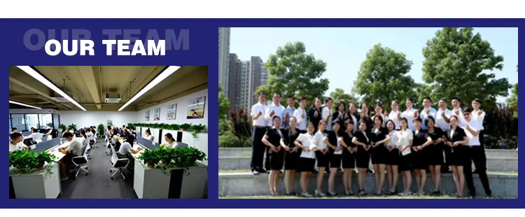 our team