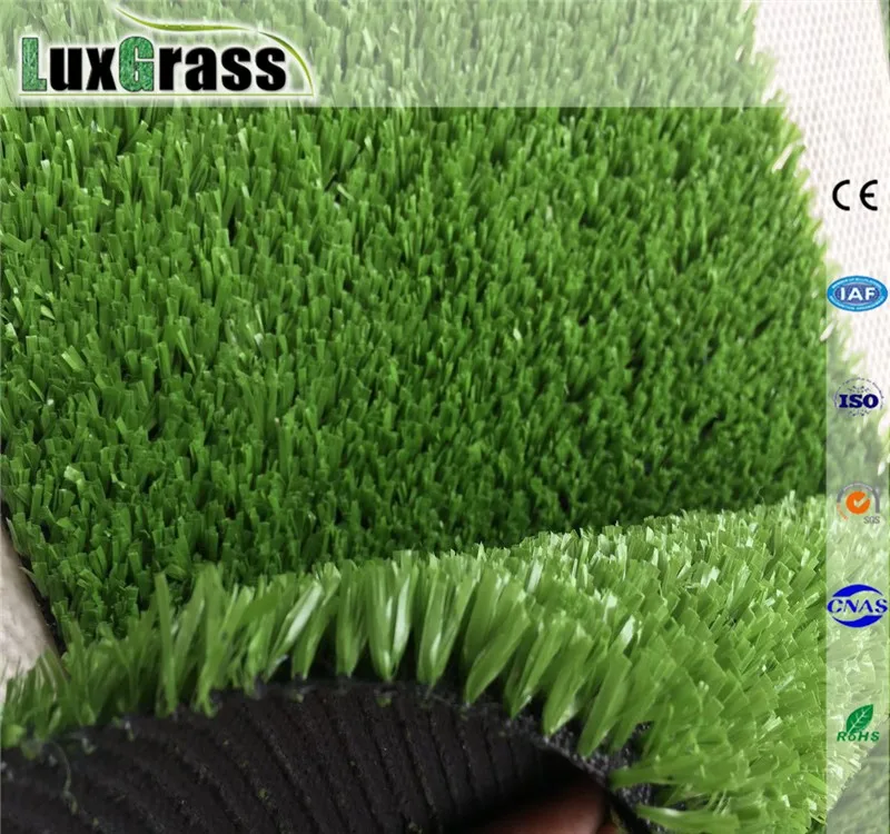 Merajut Mimpi Bisnis Online: Panduan Lengkap Membangun Usaha dari Nol hingga Sukses