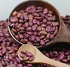 Small Red Kidney Bean/bean China