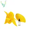 Halal flavor factory sale certificated fruit flavouring vape ejuice liquid Mango flavor 20ml E-liquid free sample for vape juice