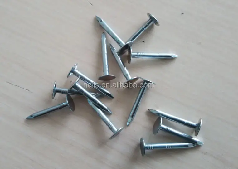 Roofing Linoleum Nails Super Quality Best Price Buy Roofing Linoleum