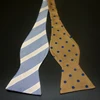 two design self tie bow tie