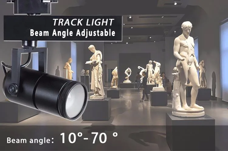 Beam Angle Adjustable rail track light Cob Lamp for Museum Exhibition