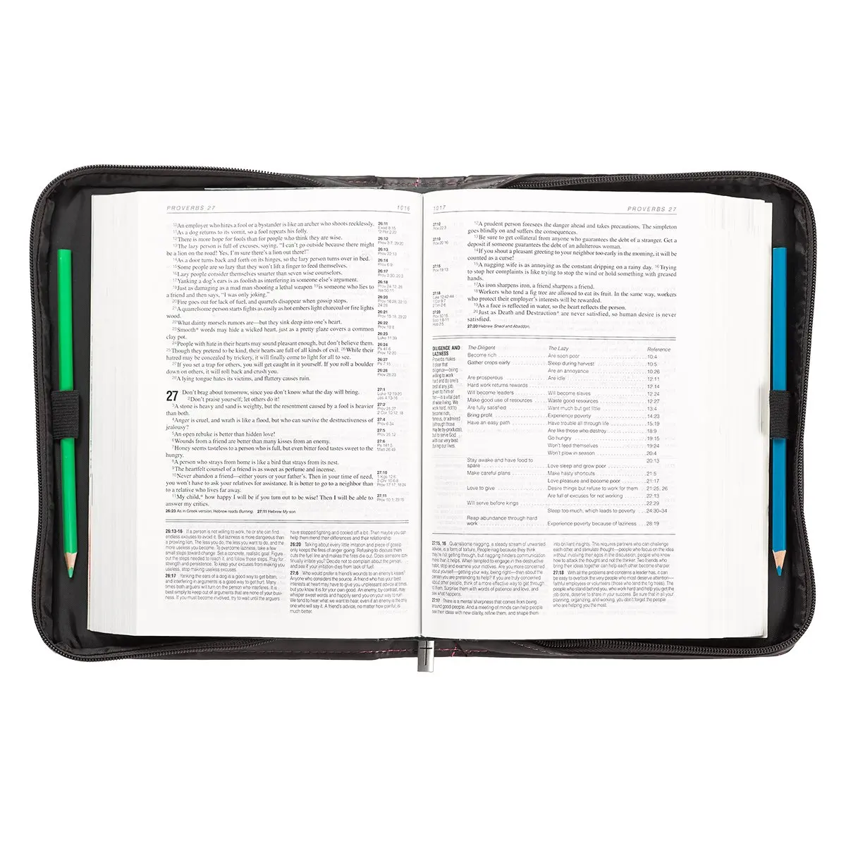bible cover (3).jpg