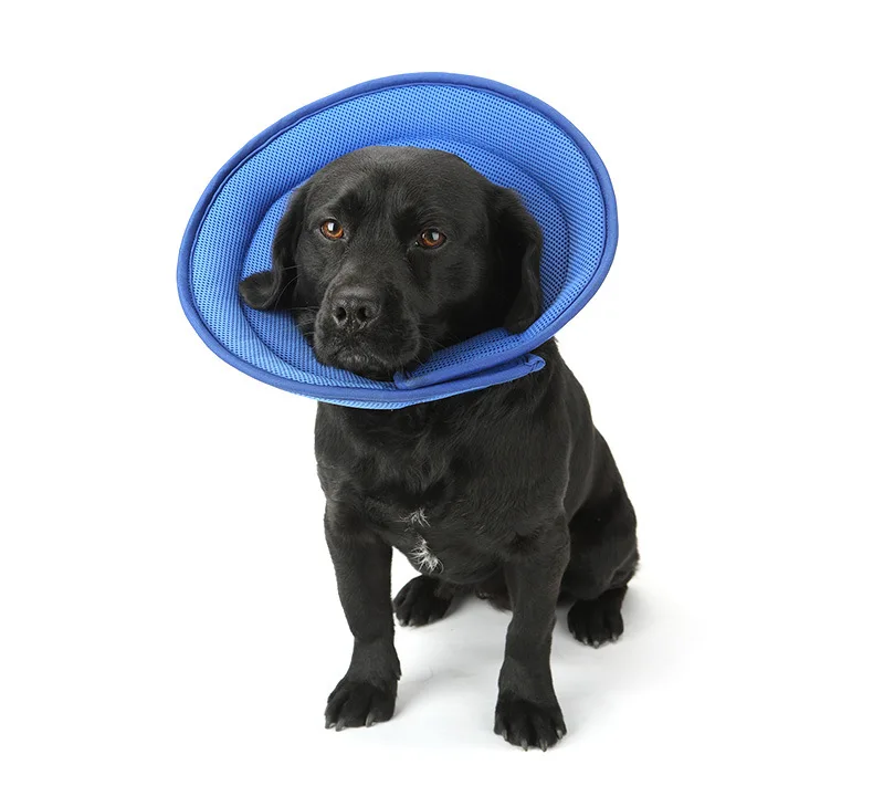 Wholesale Antibite Protection Collars Dogbiting Neck Adjustable Protective Cover Neck Cone Pet