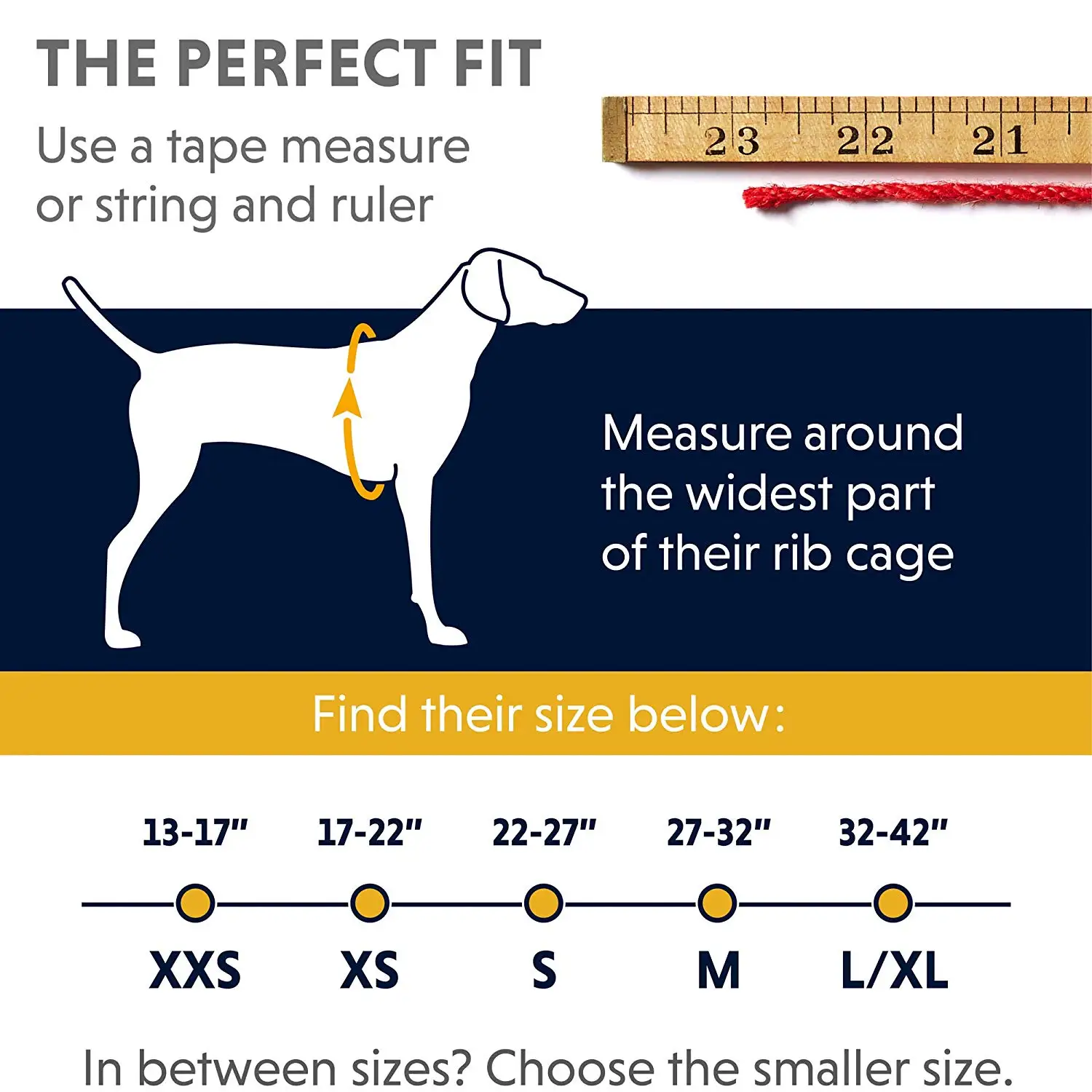 dog  harness  (1).jpg