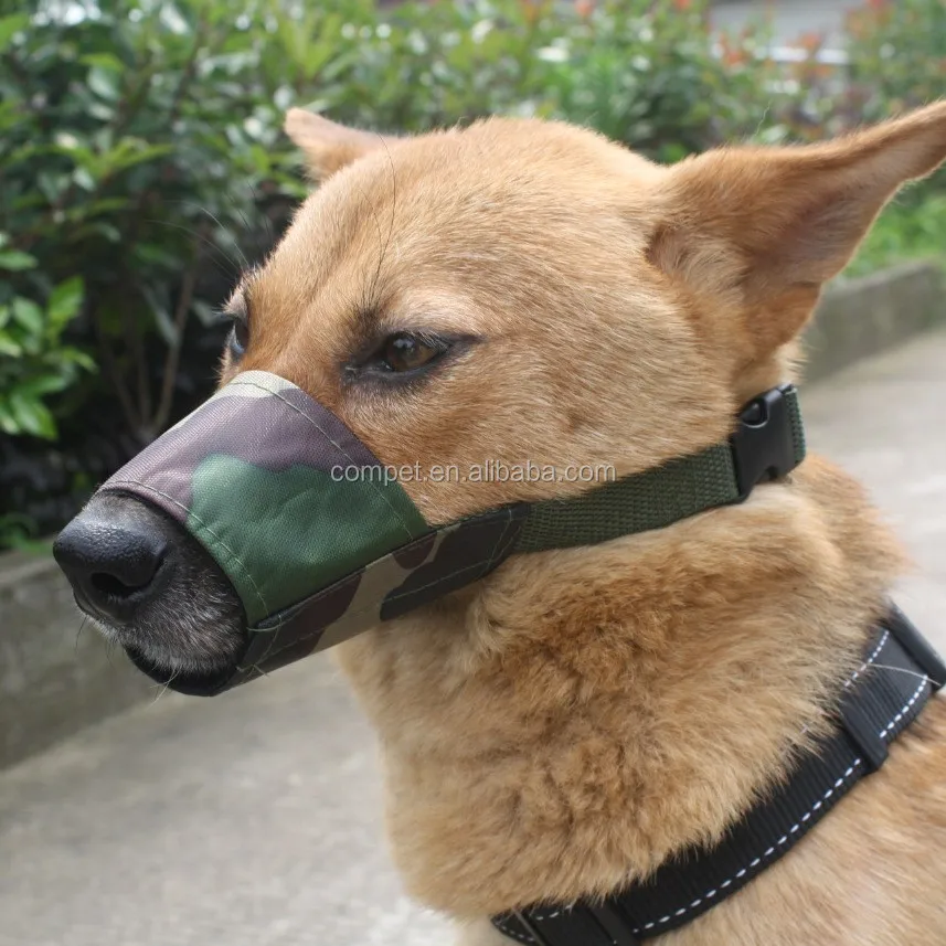 dog mouth guard