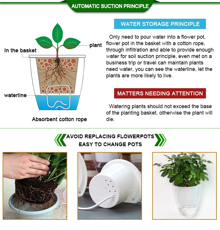 wall hanging flower pot