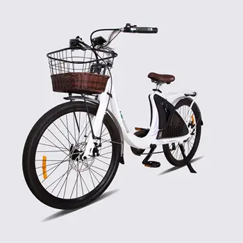 easy try electric bike