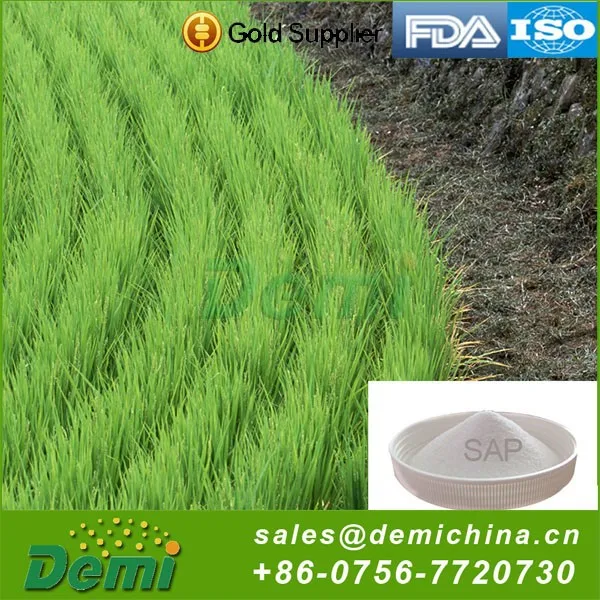 China Professional Manufacture Biodegradable Super Absorbent Water Polymer