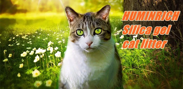 "huminrich" cat cleaning product silica gel cat litter
