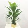 New design plastic rubber plant for abroad markets