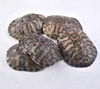 Genuine different sizes turtle shells for sale cheap price