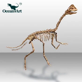 life size dinosaur skeleton for sale