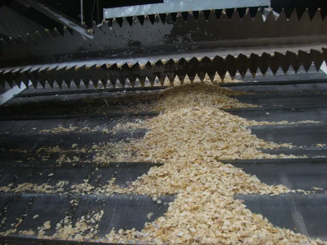 New Dehydrated Granulated Garlic