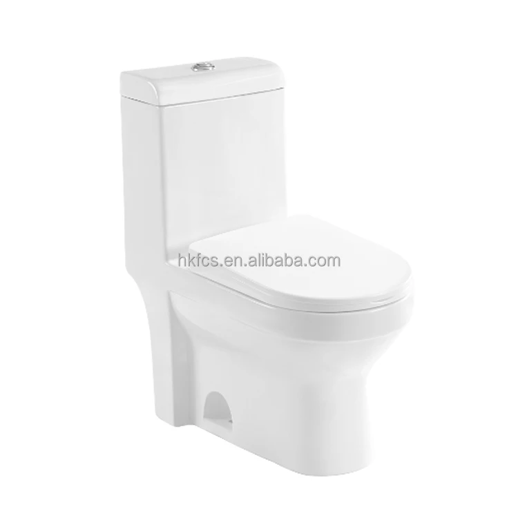 
CSA Certificated Elongated Dual Flush One-piece Toilet 3097N 