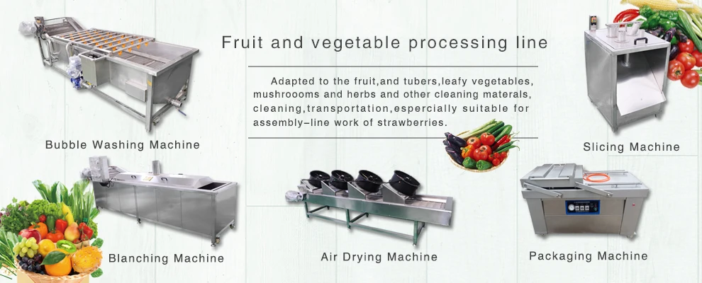 Kitchen Equipment Double Tank Vegetables Washing Machine For