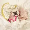 Dogs Chien Method Of Bucket Four Feet Pig Sleeping Partner French Bulldog Toy Dog Pet Plush Toys