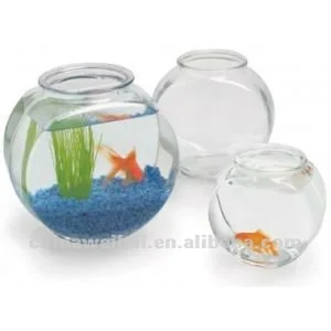 fish bowl lid