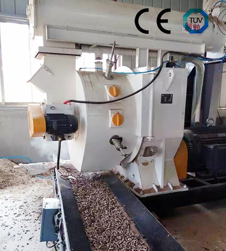 2tph pellet line with CE.jpg