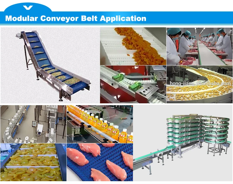 Su elección correcta Food Modular Plastic Conveyor Belt with H5935