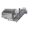 Industrial Steam Blanching/Cooking Machine for Vegetable Process