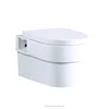 Ceramic china sanitary ware easy to clean incinerator toilet for sale
