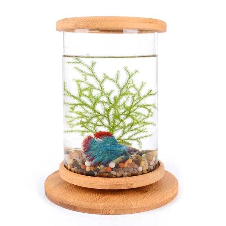 Mini Glass Betta Fish Tank Decoration Accessories Rotate