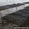 Factory directly provide Extruded Aquaculture Plastic Flat Mesh Net