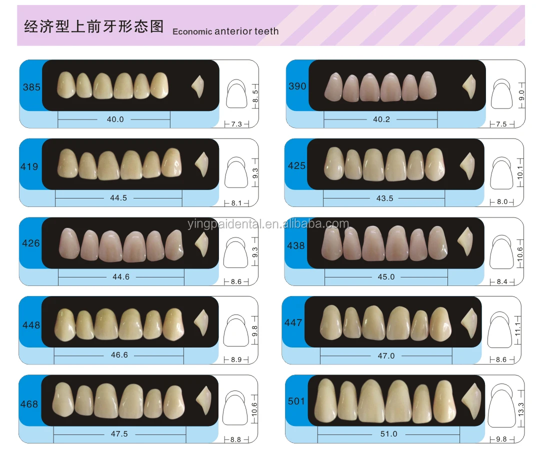 Teeth Size Chart
