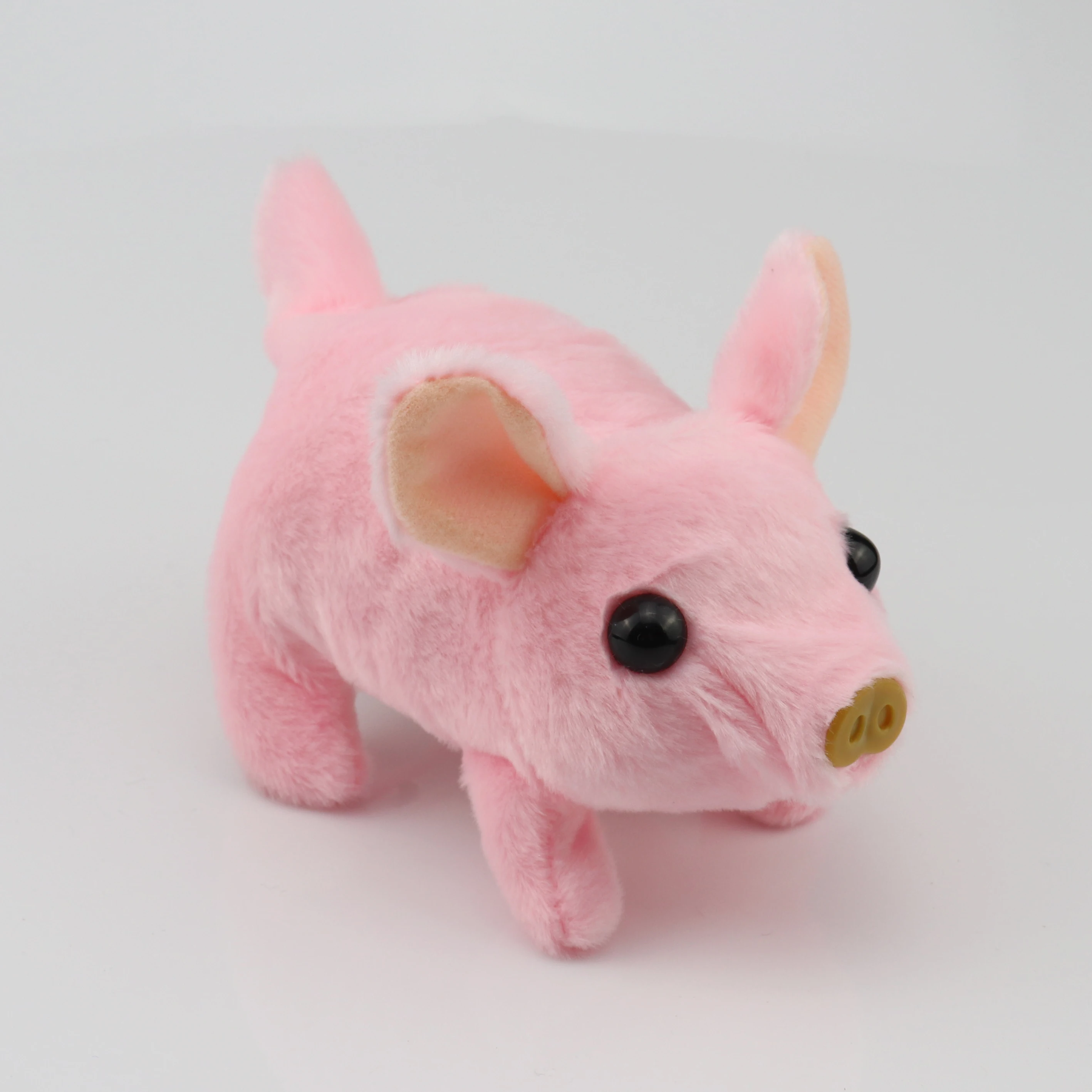 battery operated walking pig