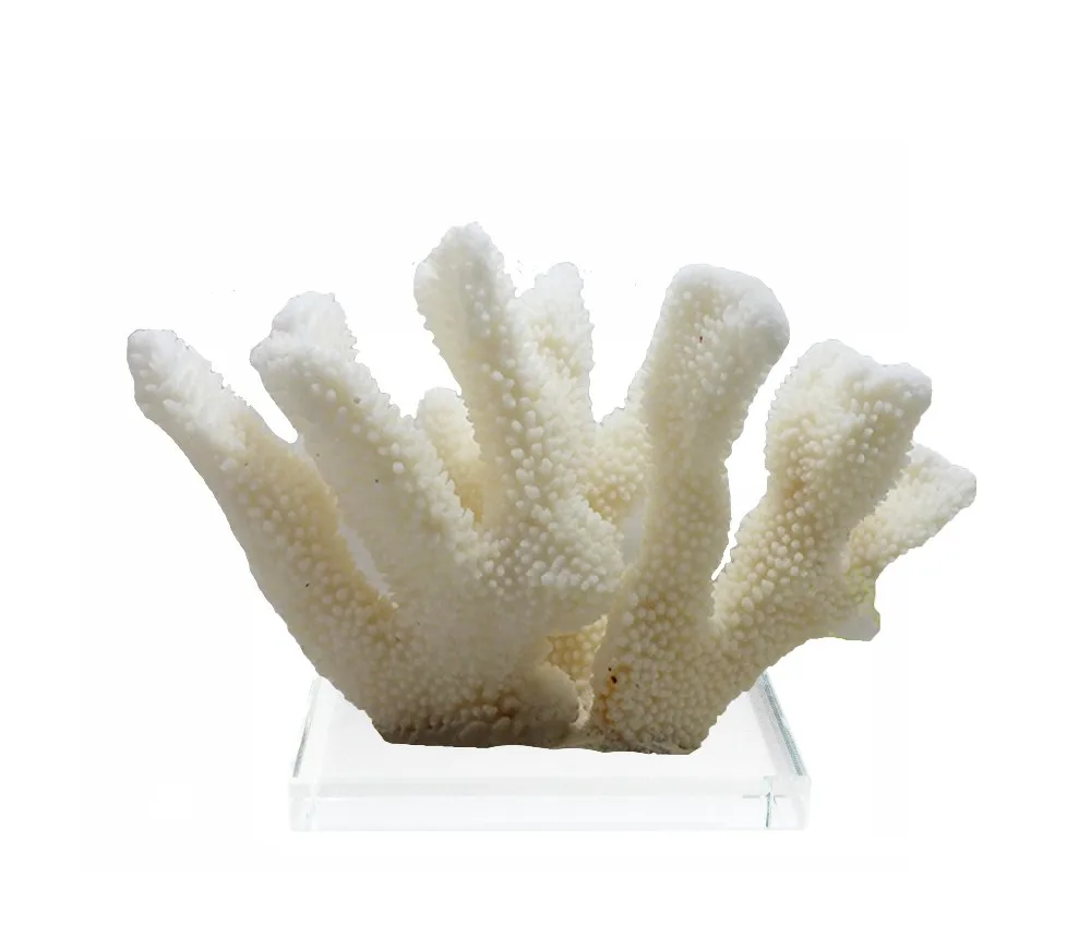 coral resin sculpture