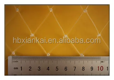a.jpg