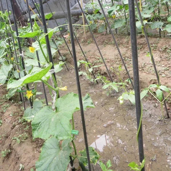 High Strength Fiberglass Rod For Plant Supports Lightweight Fiberglass