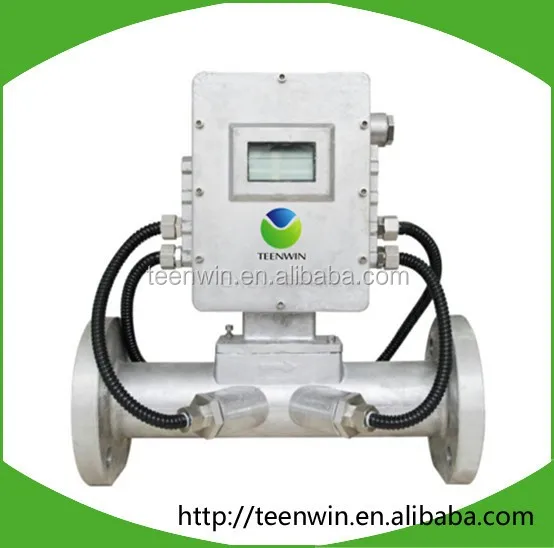 Teenwin Ultrasonic Biogas/natural Gas Flow Meter Bf2000 For Biogas