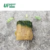 UPuper Cultivation Plug column hydroponics equipment rock wool for indoor plant nursery seeding 0.78*1.05 inch