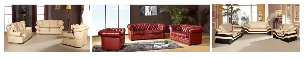 european leather sofa.png