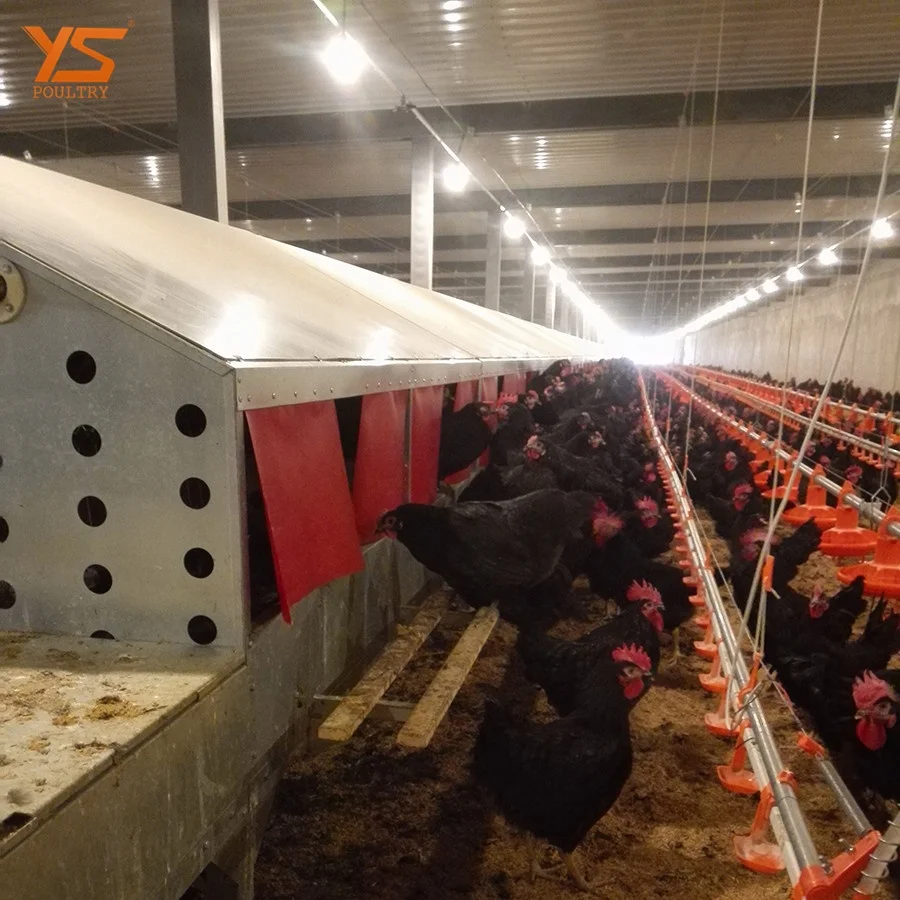 
Chicken farm automatic poultry feeder for floor type broiler raising 