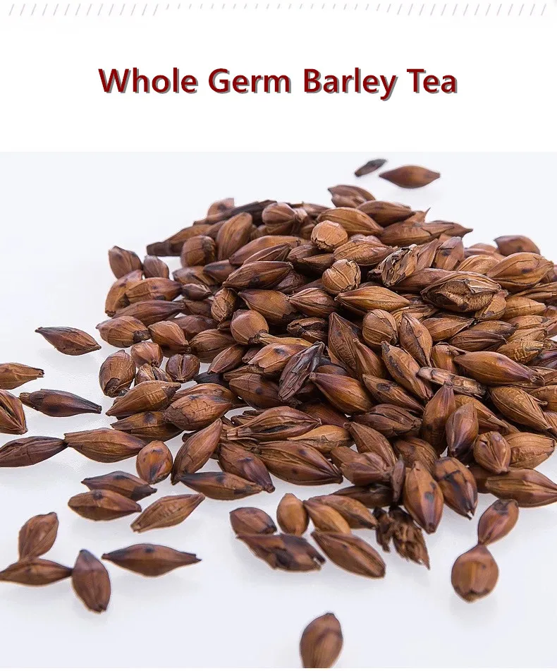 Bulk Wholesale Roasted Barley Grain Tea Health Food Drink Barley Tea - 4uTea | 4uTea.com
