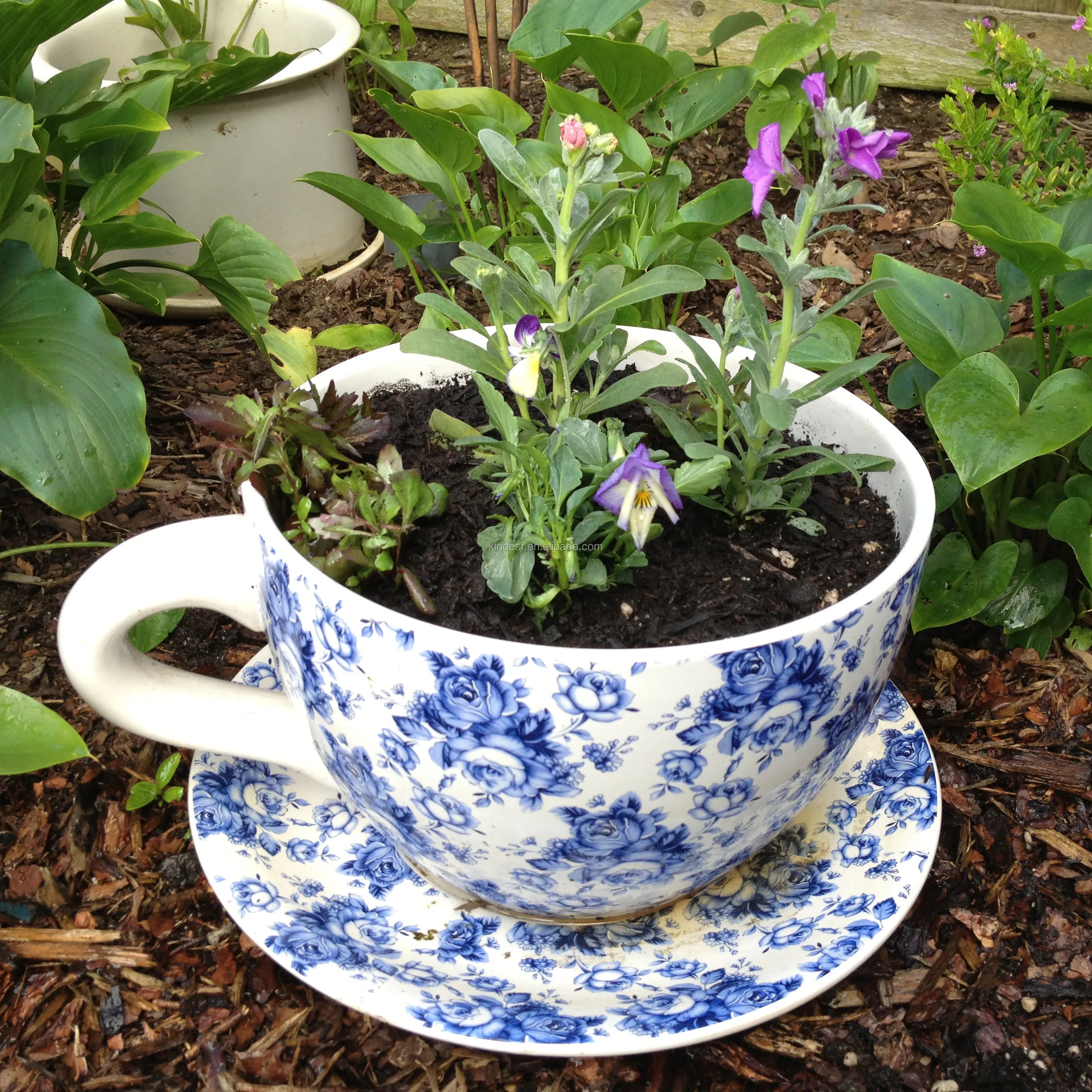 22 5 Cm Diameter Ceramic Tea Cup And Saucer Flower Planter Pot