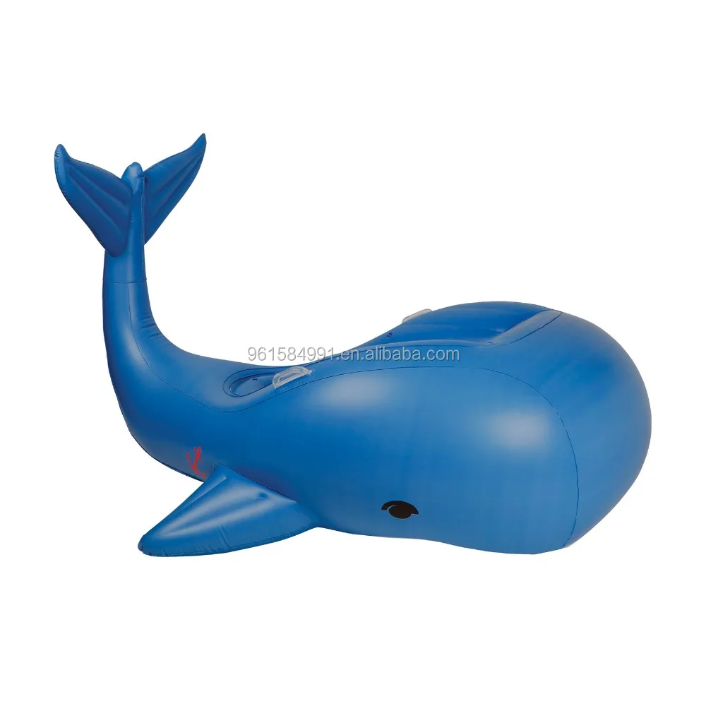 whale pool float