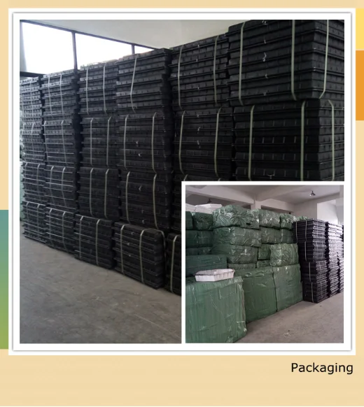 paste-pic-dp_uuid_qzeoe