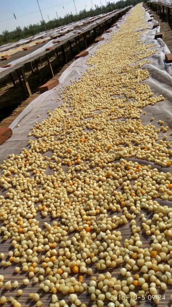 Dried Bay Scallop Buy Scallop Meat,Dried Scallop Product on