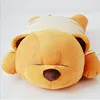 Sending girls creative birthday Valentine's Day gift processing customized dressing raccoon music pillow teddy bear plush toy