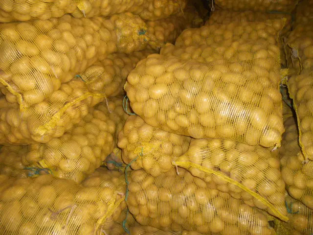 DSCN3999