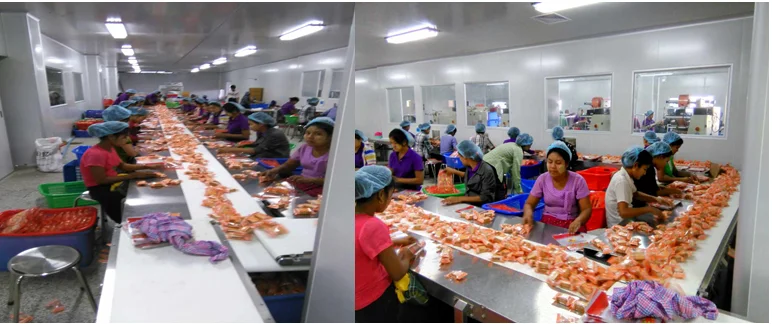 swiss roll & layer cake production line